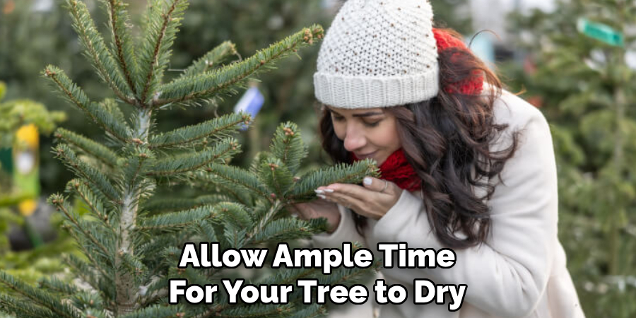 Allow Ample Time
For Your Tree to Dry