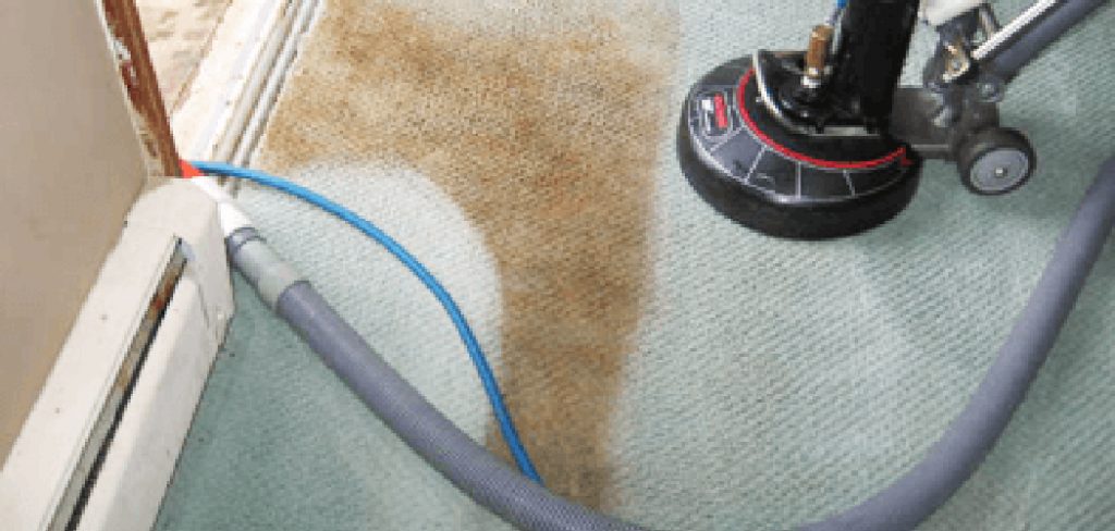 How to Dry Clean Your Carpet