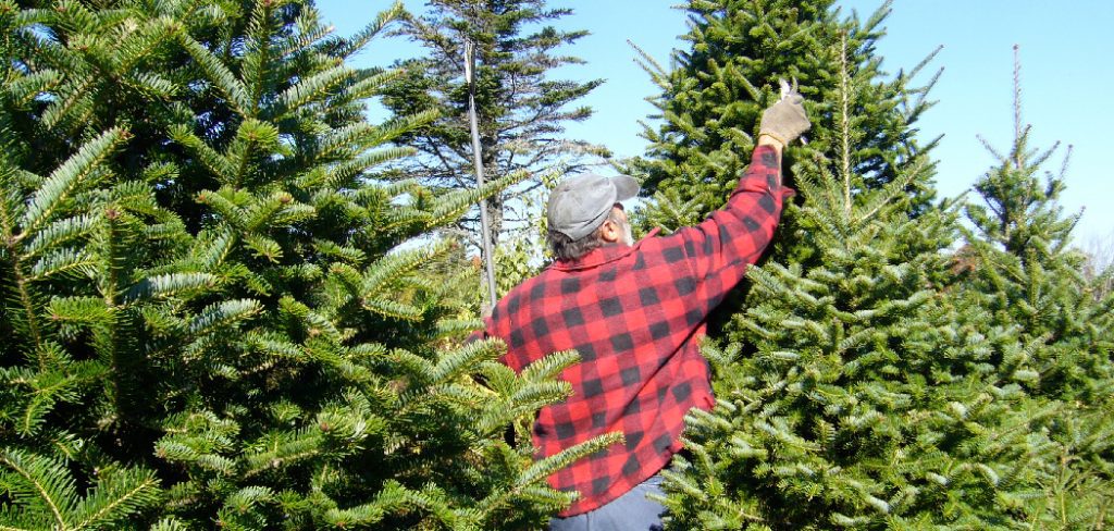How to Flock a Tree Diy
