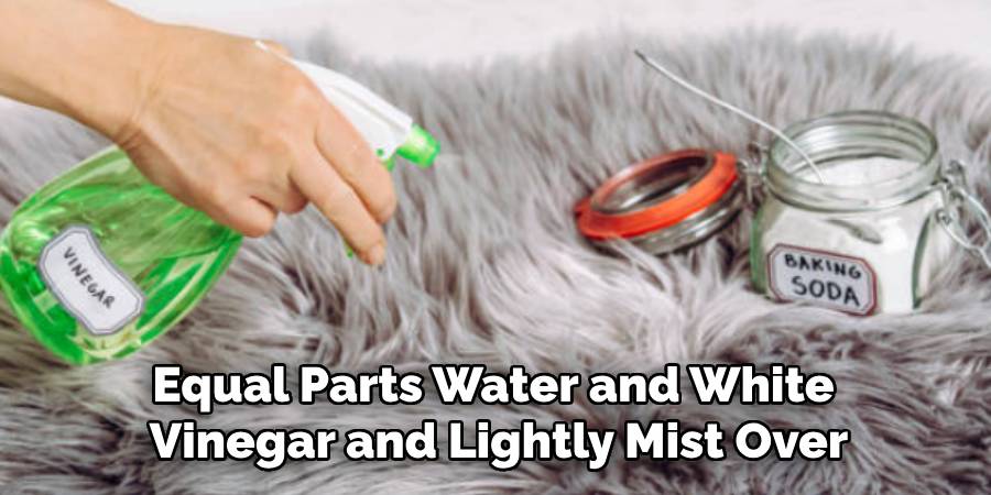 Equal Parts Water and White
Vinegar and Lightly Mist Over