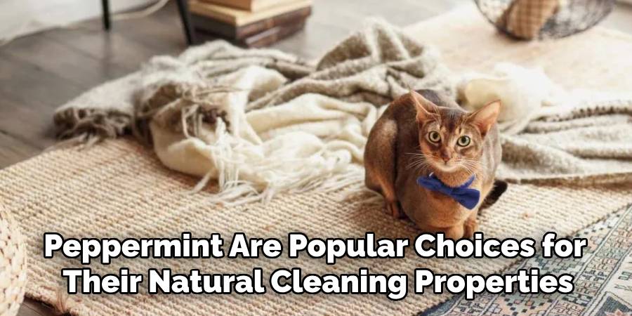 Peppermint Are Popular Choices for
Their Natural Cleaning Properties