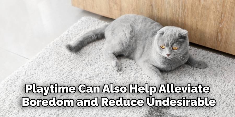 Playtime Can Also Help Alleviate Boredom and Reduce Undesirable