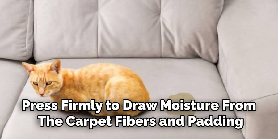 Press Firmly to Draw Moisture From
The Carpet Fibers and Padding