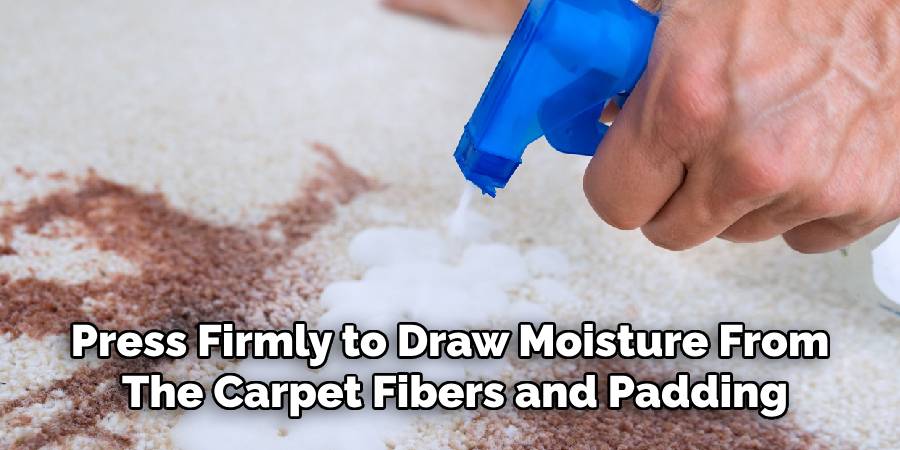 Spray Bottle and Apply It Directly
To the Affected Carpet Area