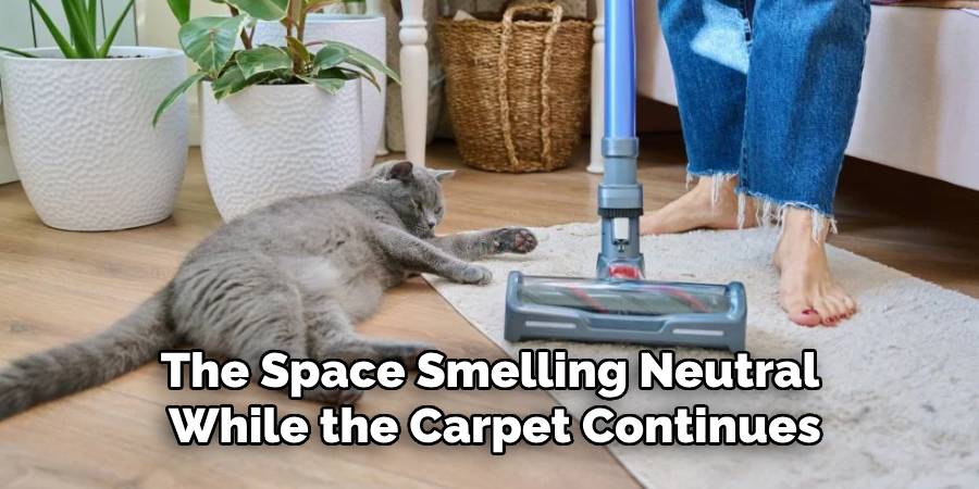 The Space Smelling Neutral While the Carpet Continues